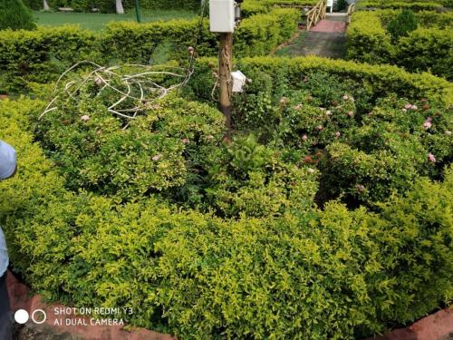 Morning exercise (102)