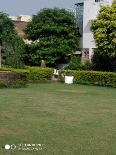 Morning exercise (114)