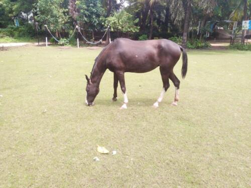 WhatsApp-Image-2021-08-25-at-9.01.09-AM-1