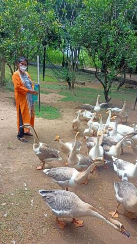 WhatsApp-Image-2021-08-25-at-9.01.31-AM